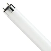 Tube Philips T8 / TL-D 