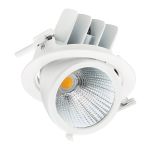 Philips Spot LED LuxSpace Accent Performance RS782B 32W 3900lm 36D - 930 Blanc Chaud | 167mm - Meilleur Rendu Des Couleurs