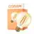 Osram Vintage 1906 LED E27 Globe Filament Dorée 7.2W 806lm - 824 Blanc Très Chaud | Équivalent 60W