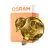 Osram Decor LED Lamp Dorée Verre E27 3.5W 300lm - 827 Blanc Très Chaud | Équivalent 25W