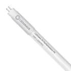 Ledvance Tube LED T5 Performance (HF) High Efficiency 16W 2400lm - 865 Lumière du Jour | 115cm - Équivalent 28W
